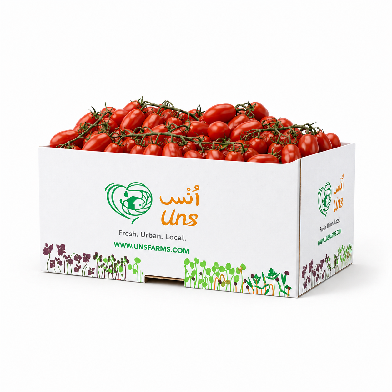 UNS Plum Tomato Bunch Red 3kg