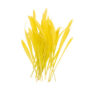 Uns Popcorn Shoots 20G Clear Pet Box