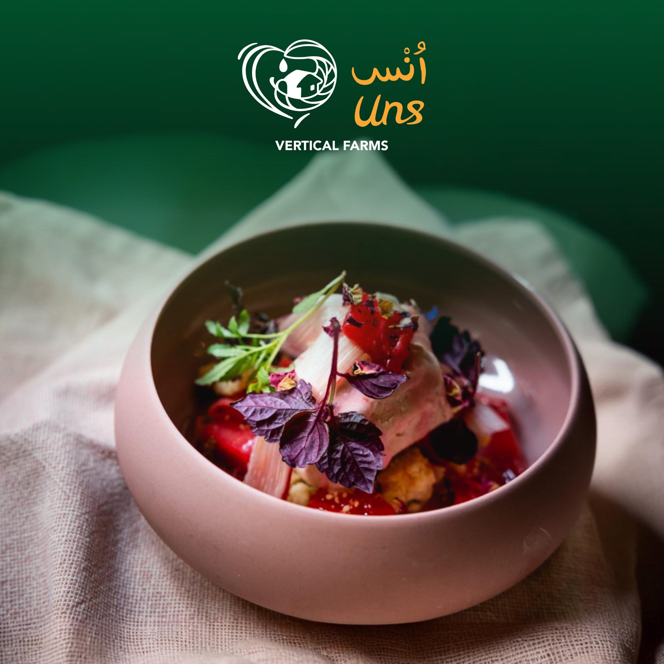 UNS Purple Shiso 10g Clear Pet Punnet