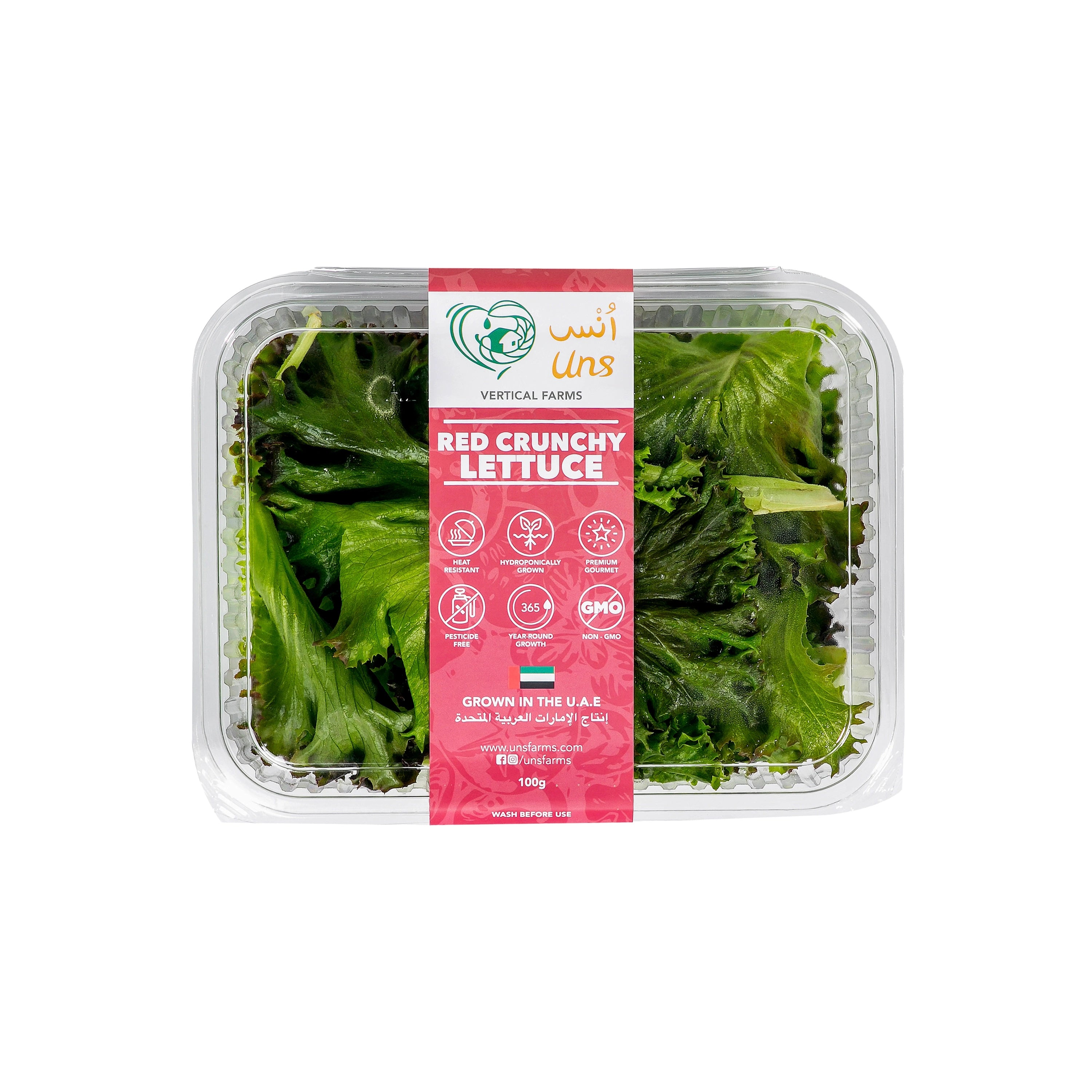 Uns Red Crunchy Lettuce 100G Clear Pet Box.