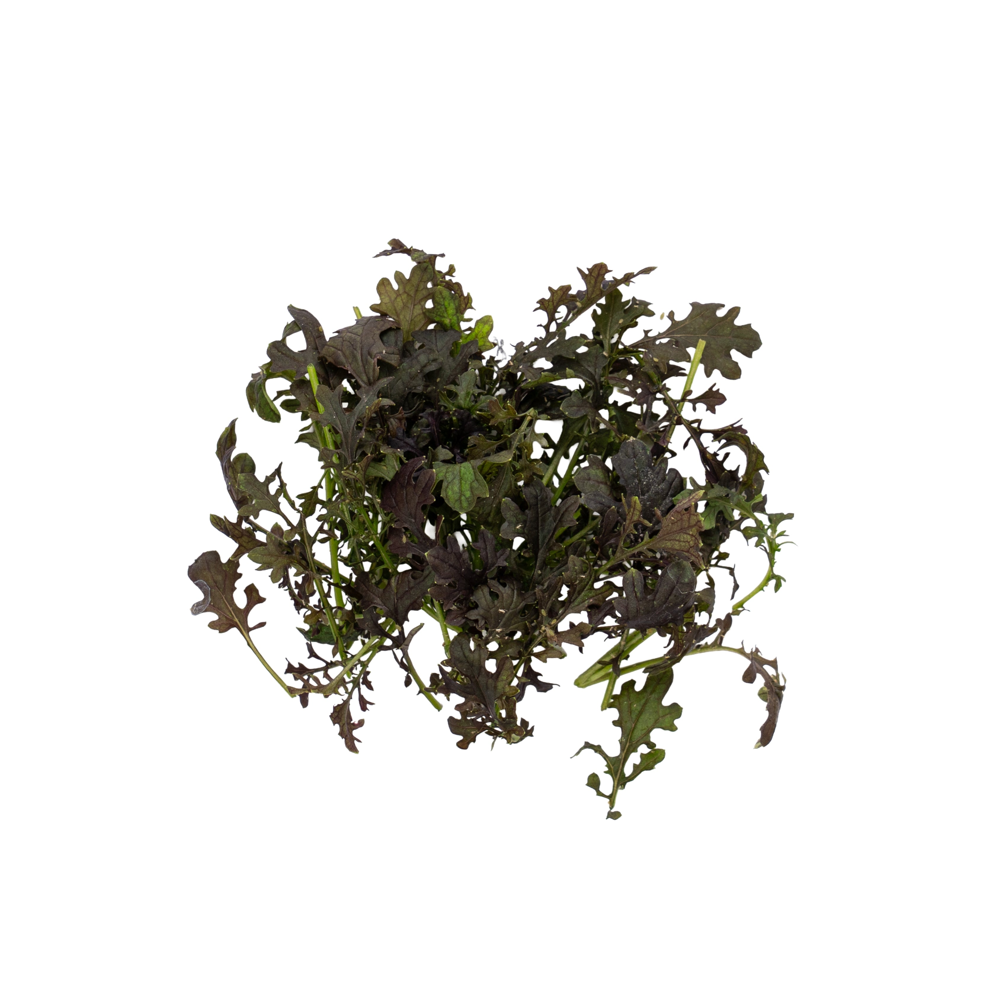 Uns Red Mizuna Leaves 20G Clear Pet Box