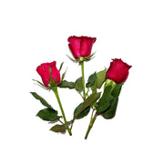 Uns Red Rose (4Cm) 5Pcs Clear Pet Box