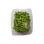 Uns Red Russian Kale 30G Clear Pet Box