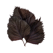 UNS Red Shiso Leaves Clear Pet Box