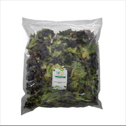 Uns Red Unsberg 1Kg Clear Pet Bag