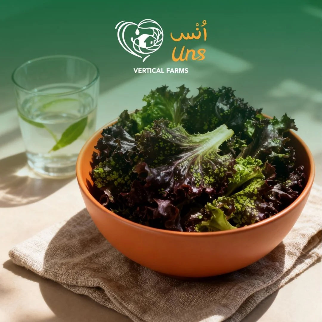 Uns Red Unsberg 1Kg Clear Pet Bag