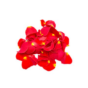 Uns Rose Red Petals 60Pcs Clear Pet Box
