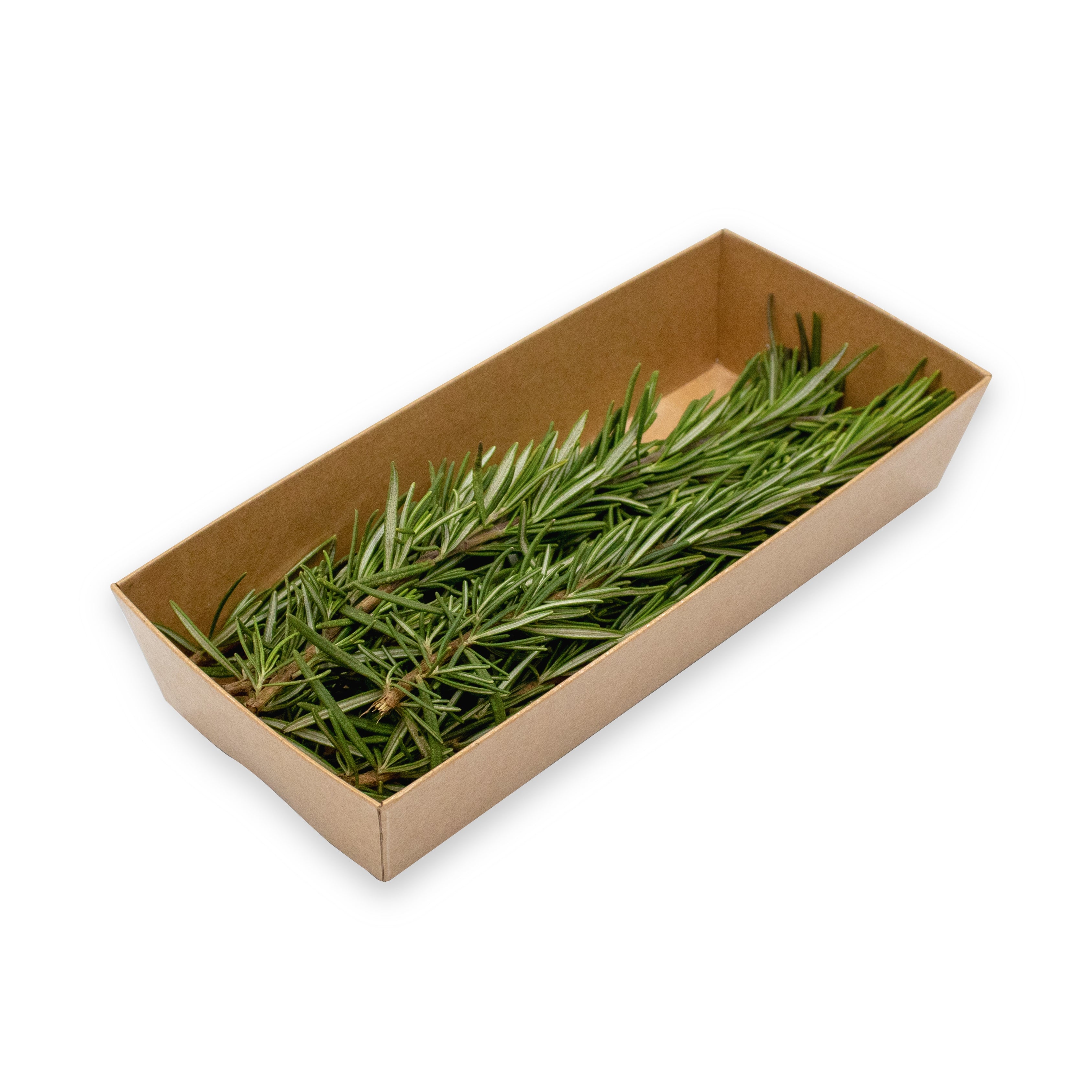Uns Rosemary 20G