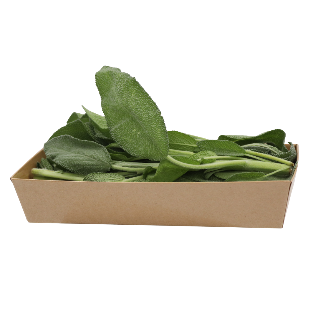 UNS Sage 50g Kraft Box