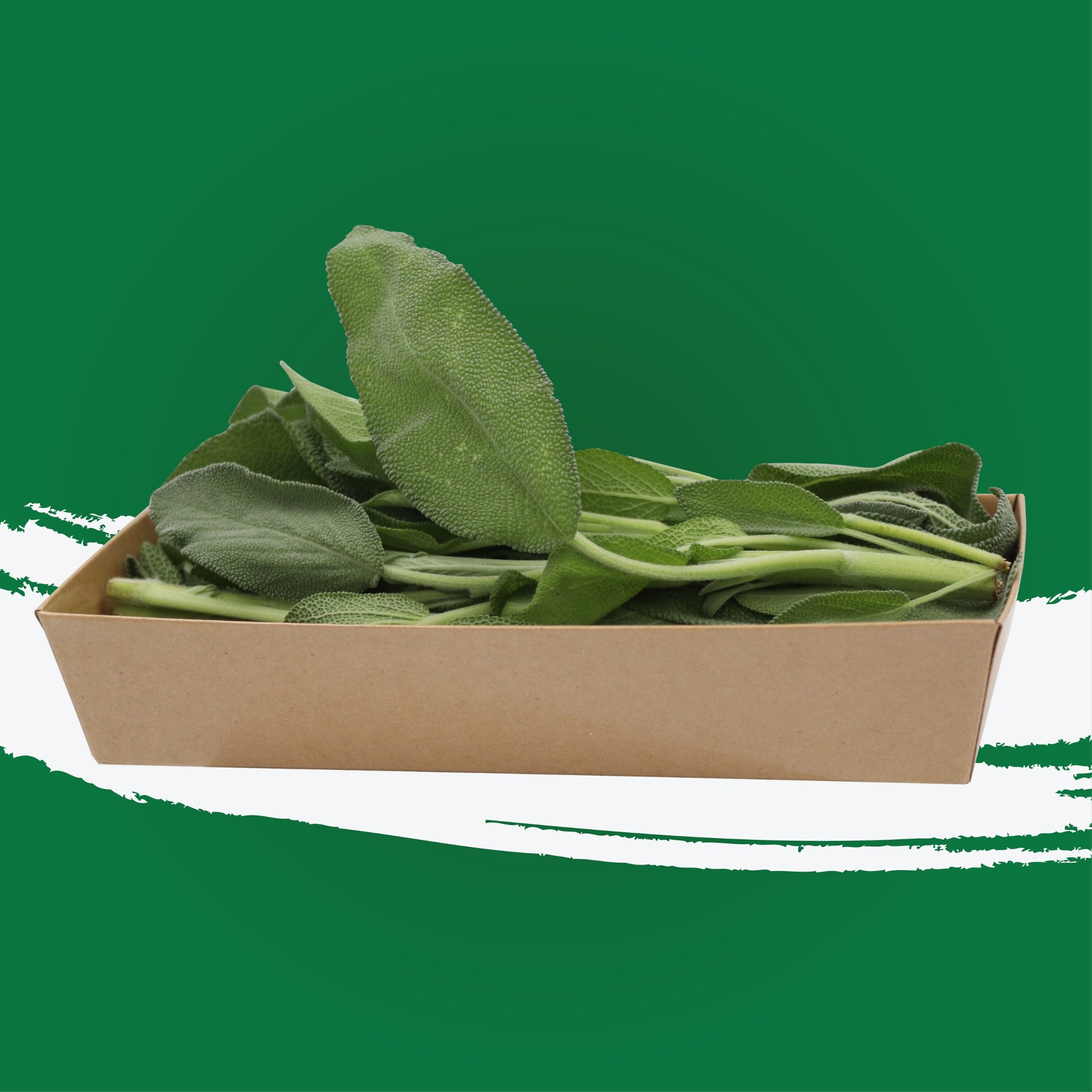 UNS Sage 50g Kraft Box