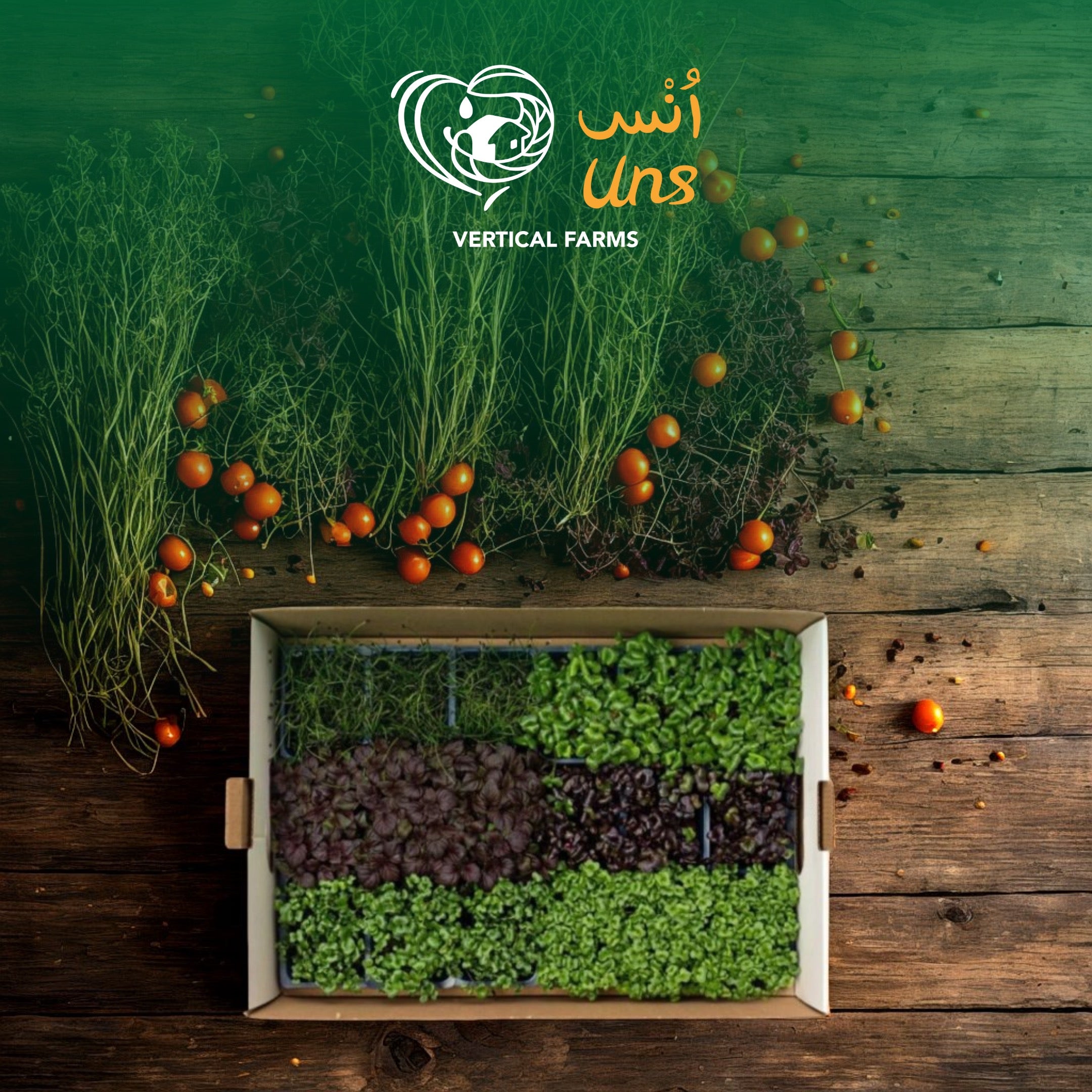 UNS Sakura Microgreen Mix 18 Punnet Carton A