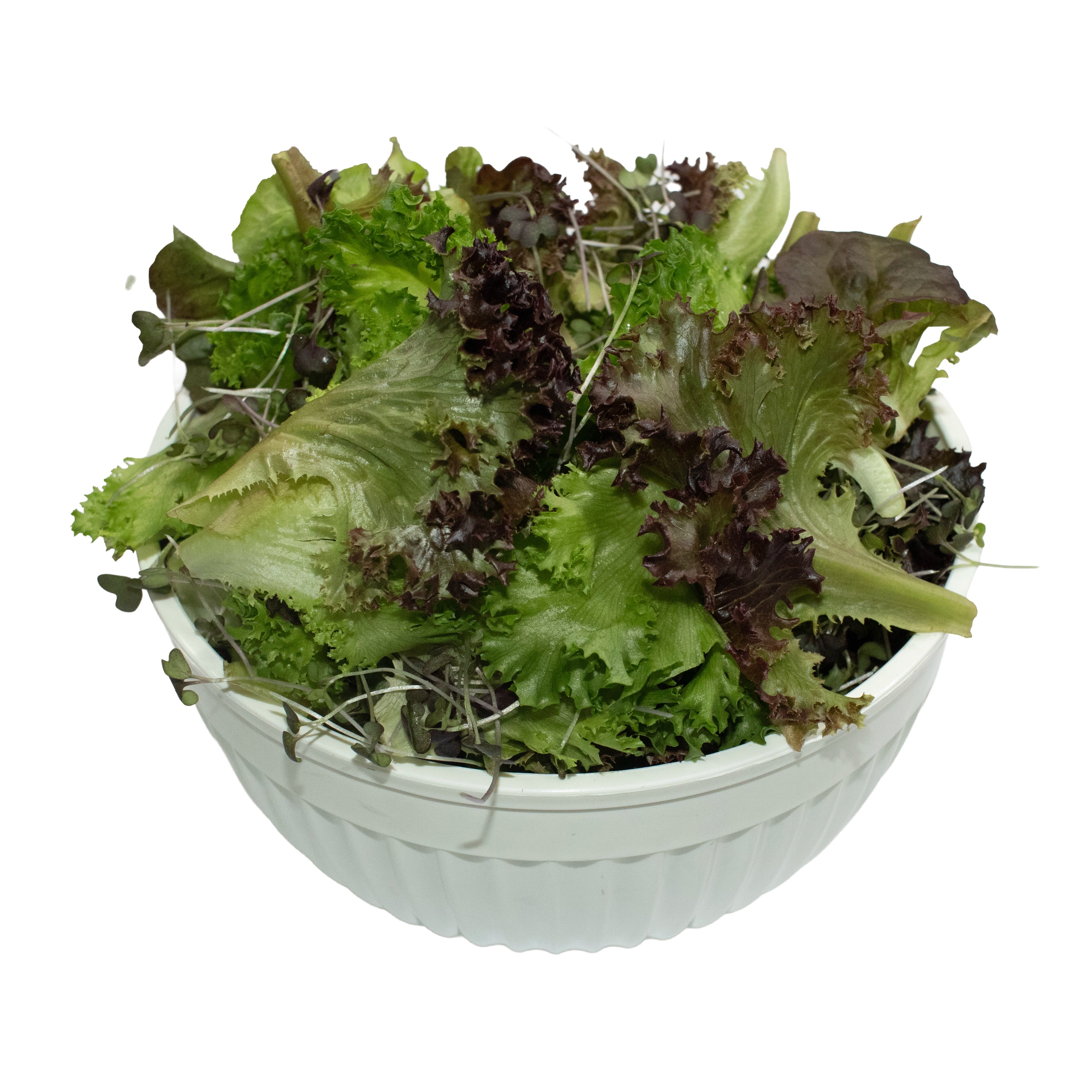 Uns Signature Mix 1Kg Clear Pet Bag