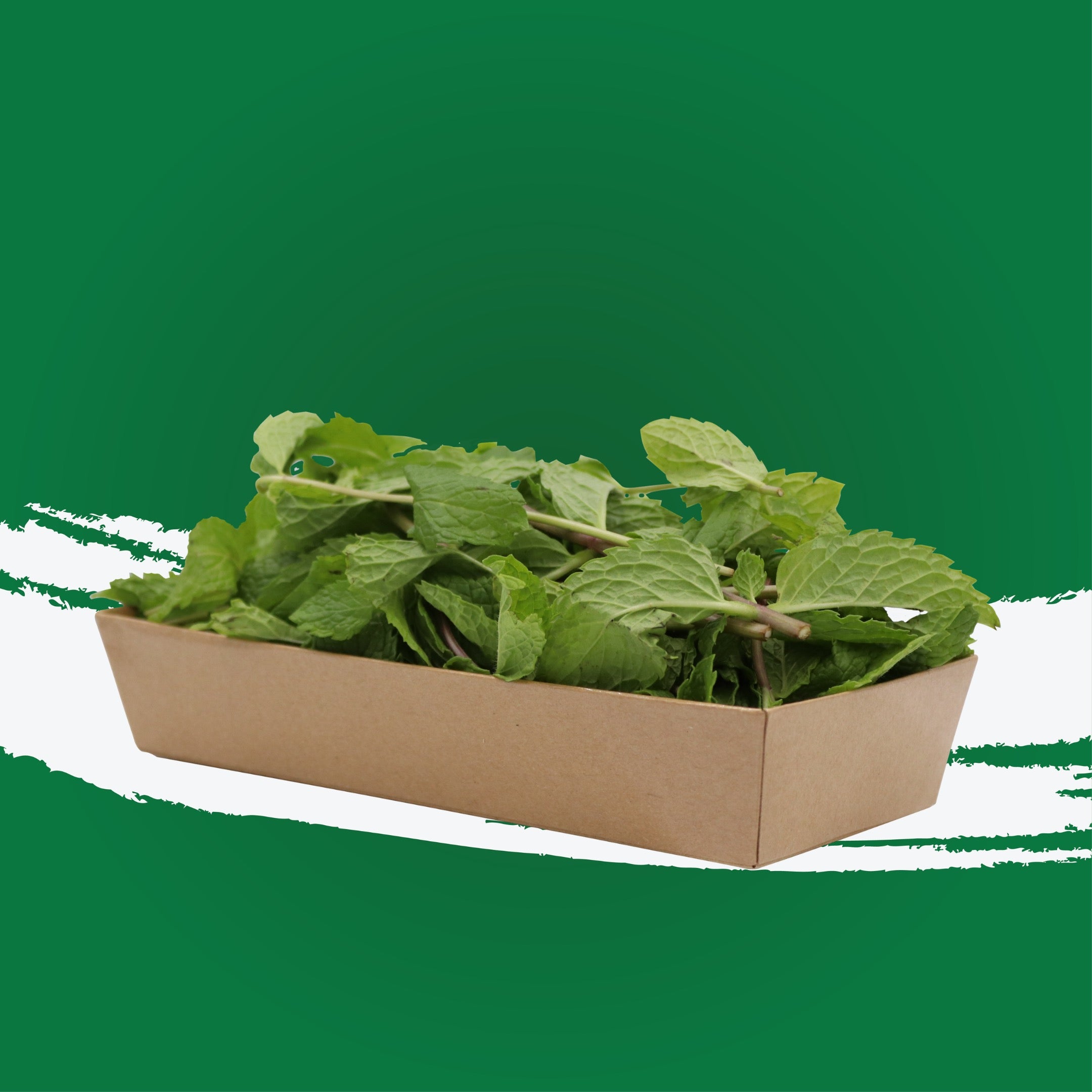 UNS Mint 50g Kraft Box