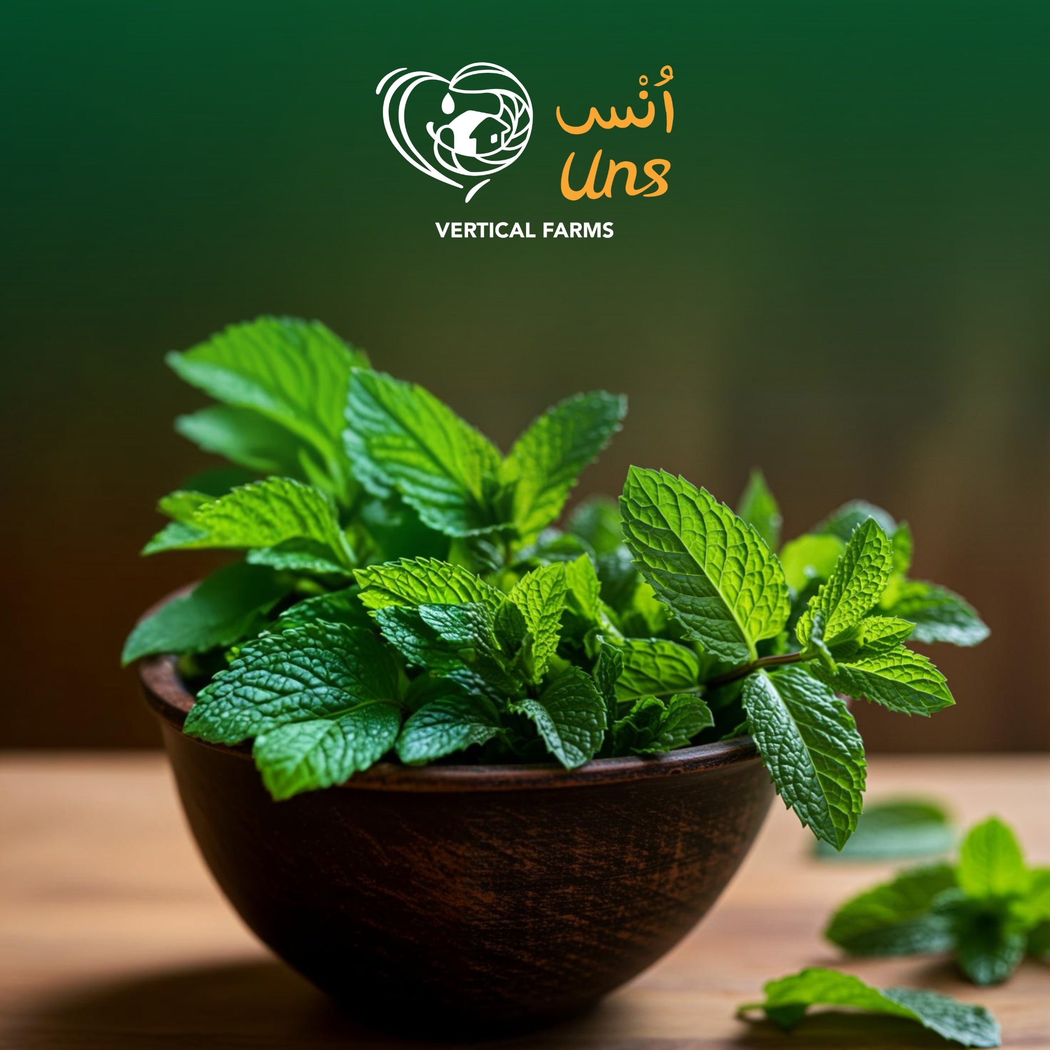 UNS Mint 50g Kraft Box