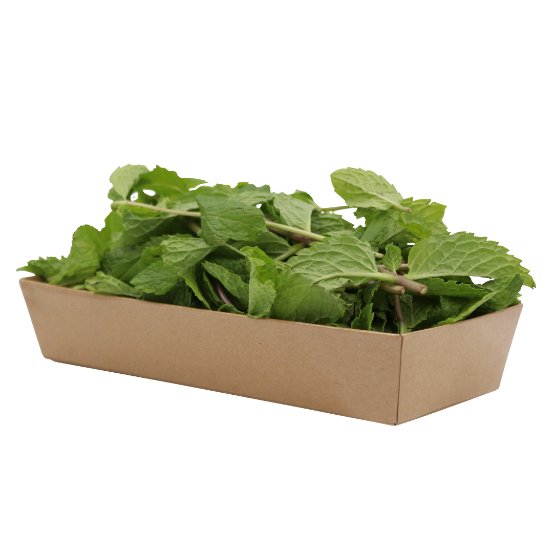UNS Mint 50g Kraft Box