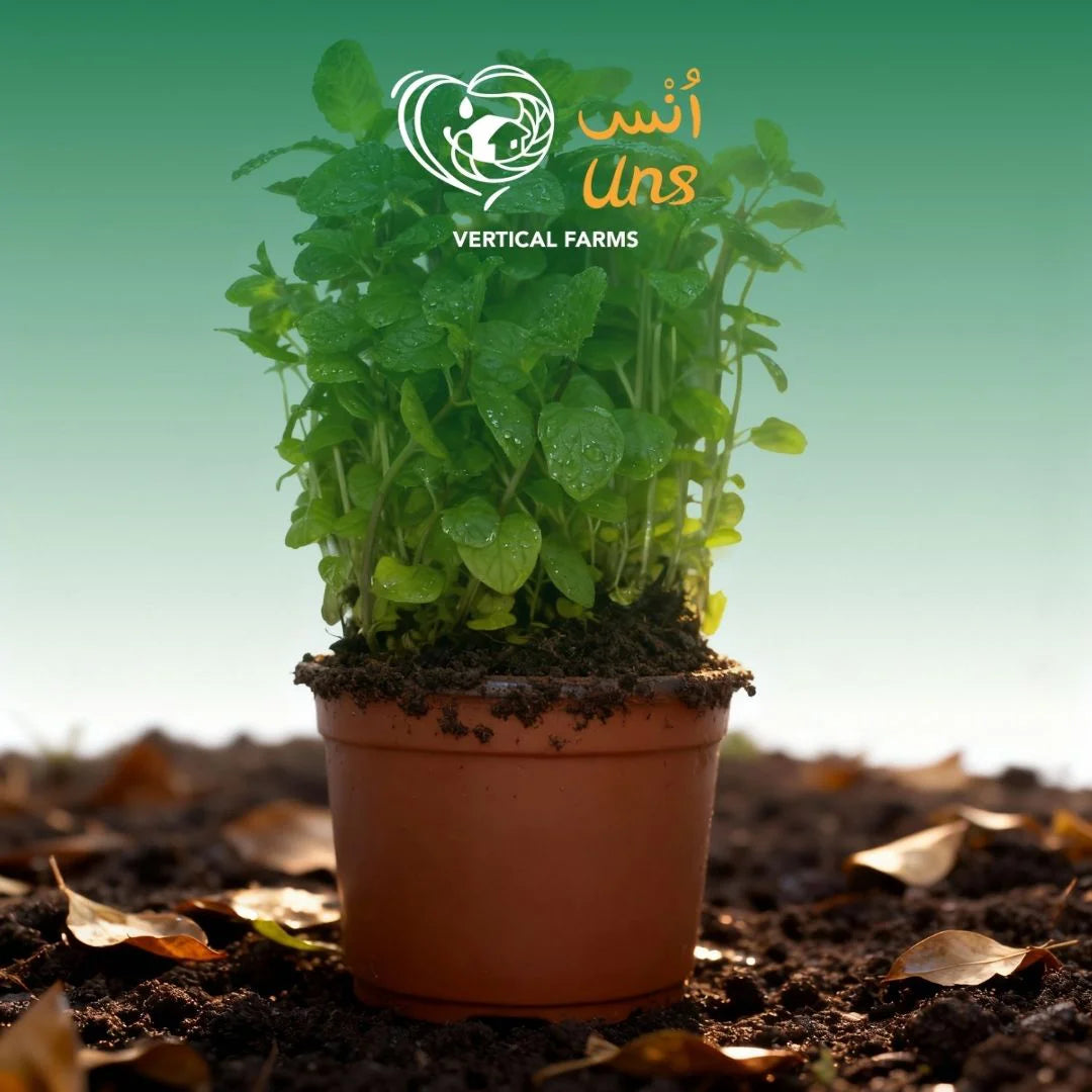 Uns Spear Mint Pot Plastic Sleeve