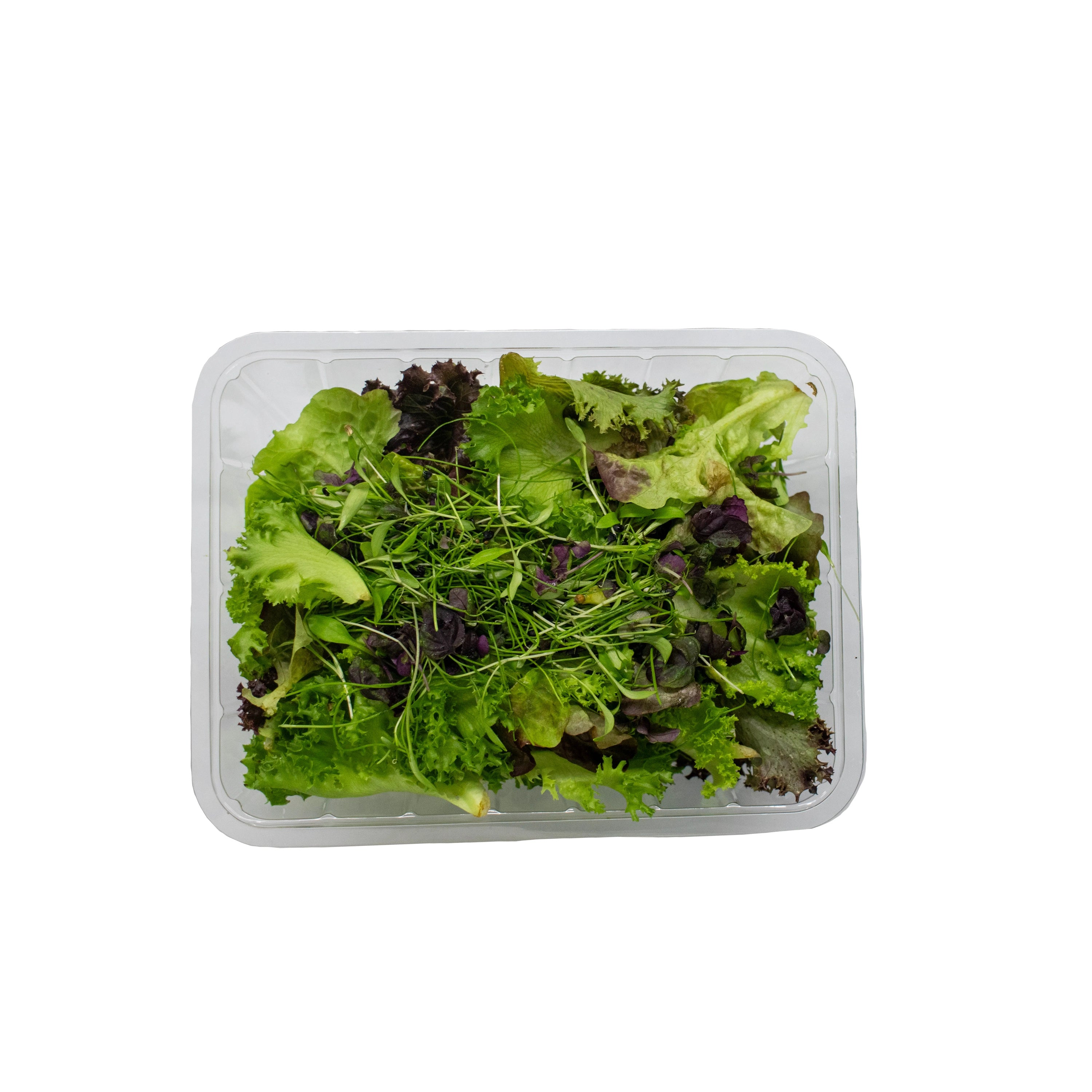 Uns Summer Savoury Mix 100G Clear Pet Box