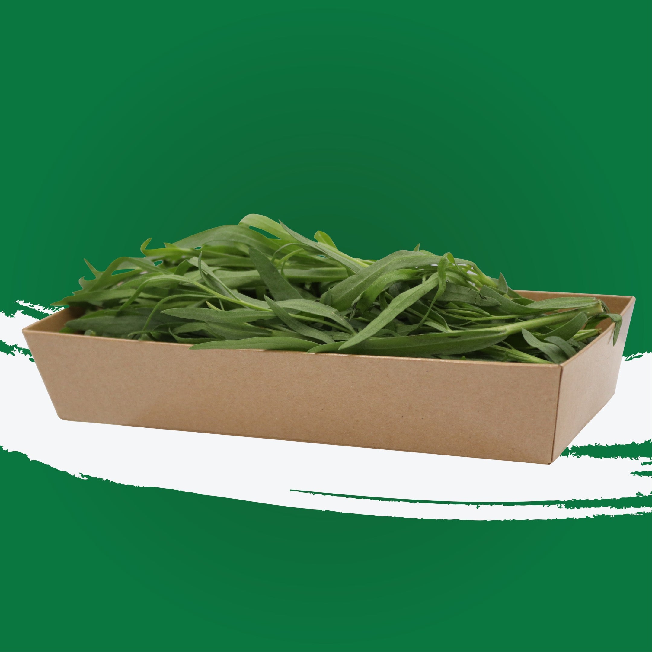 UNS Tarragon 50g Kraft Box