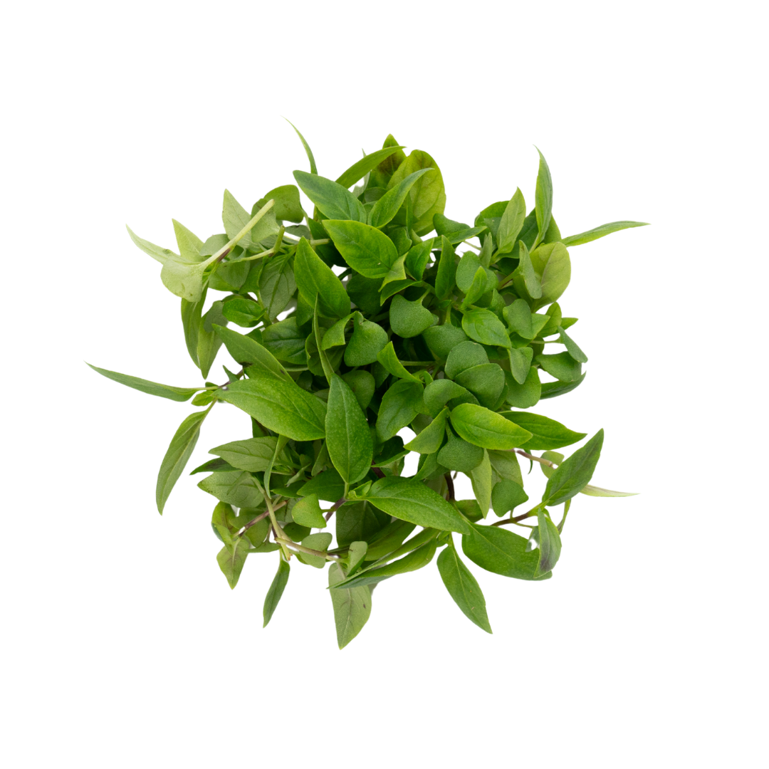 UNS Thai Basil 15g Clear Pet Box