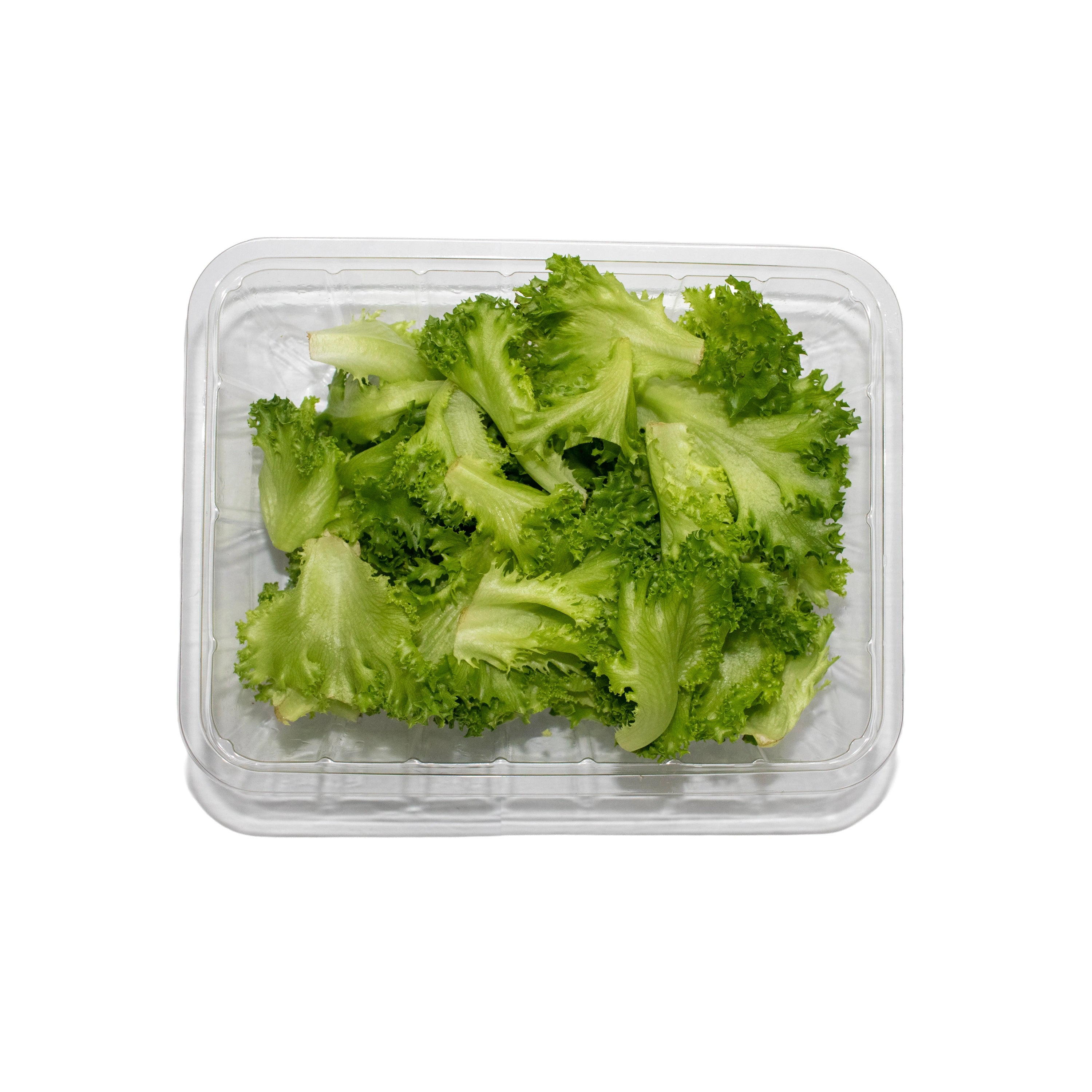 Uns Unsberg (Leaf Only) 500G Clear Pet Bag