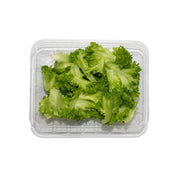 Uns Unsberg Lettuce 100G Clear Pet Box.