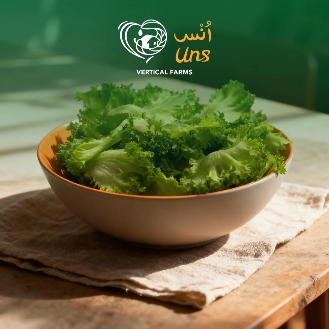 Uns Unsberg Lettuce (Leaf Only)1Kg Clear Pet Bag