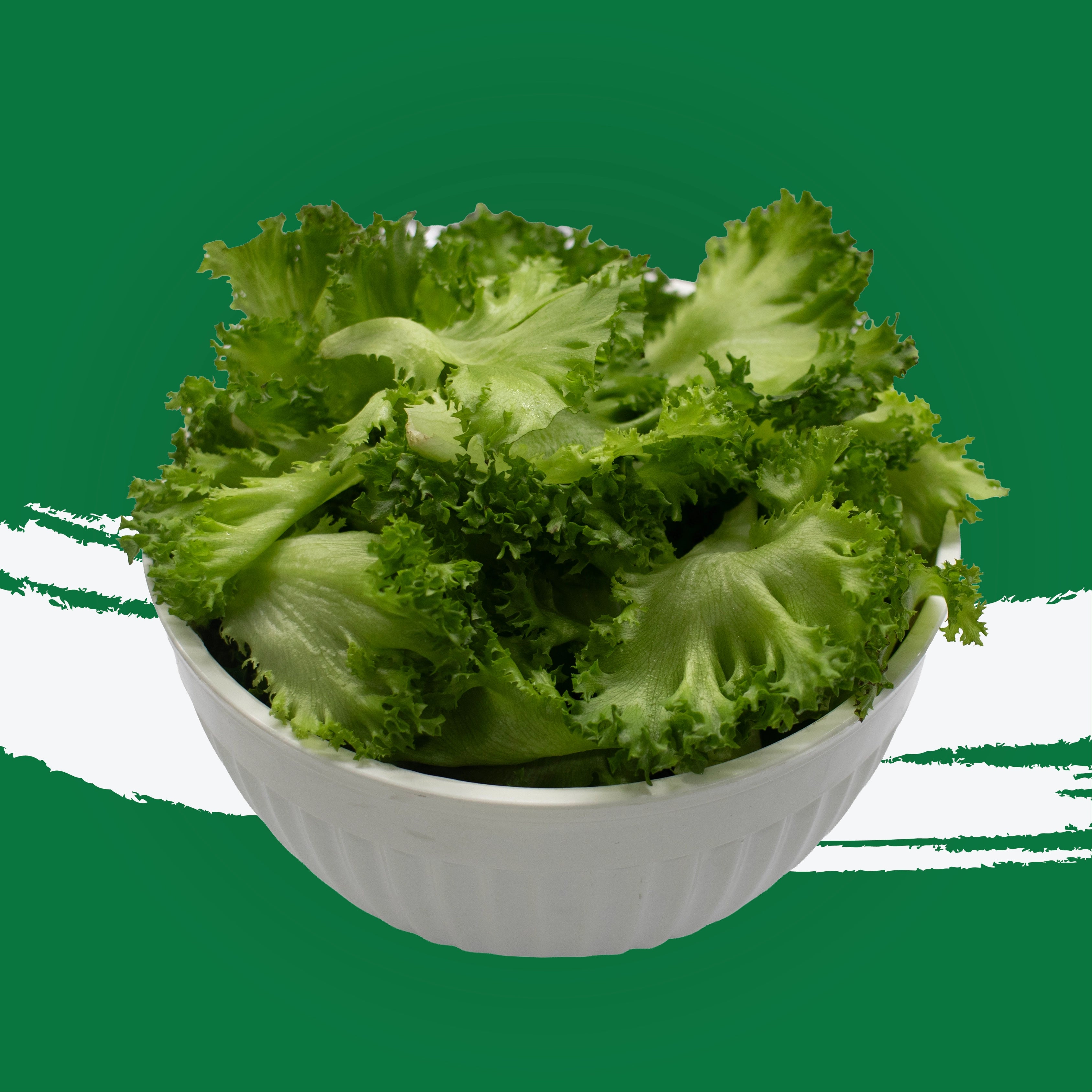 Uns Unsberg Lettuce (Leaf Only)1Kg Clear Pet Bag