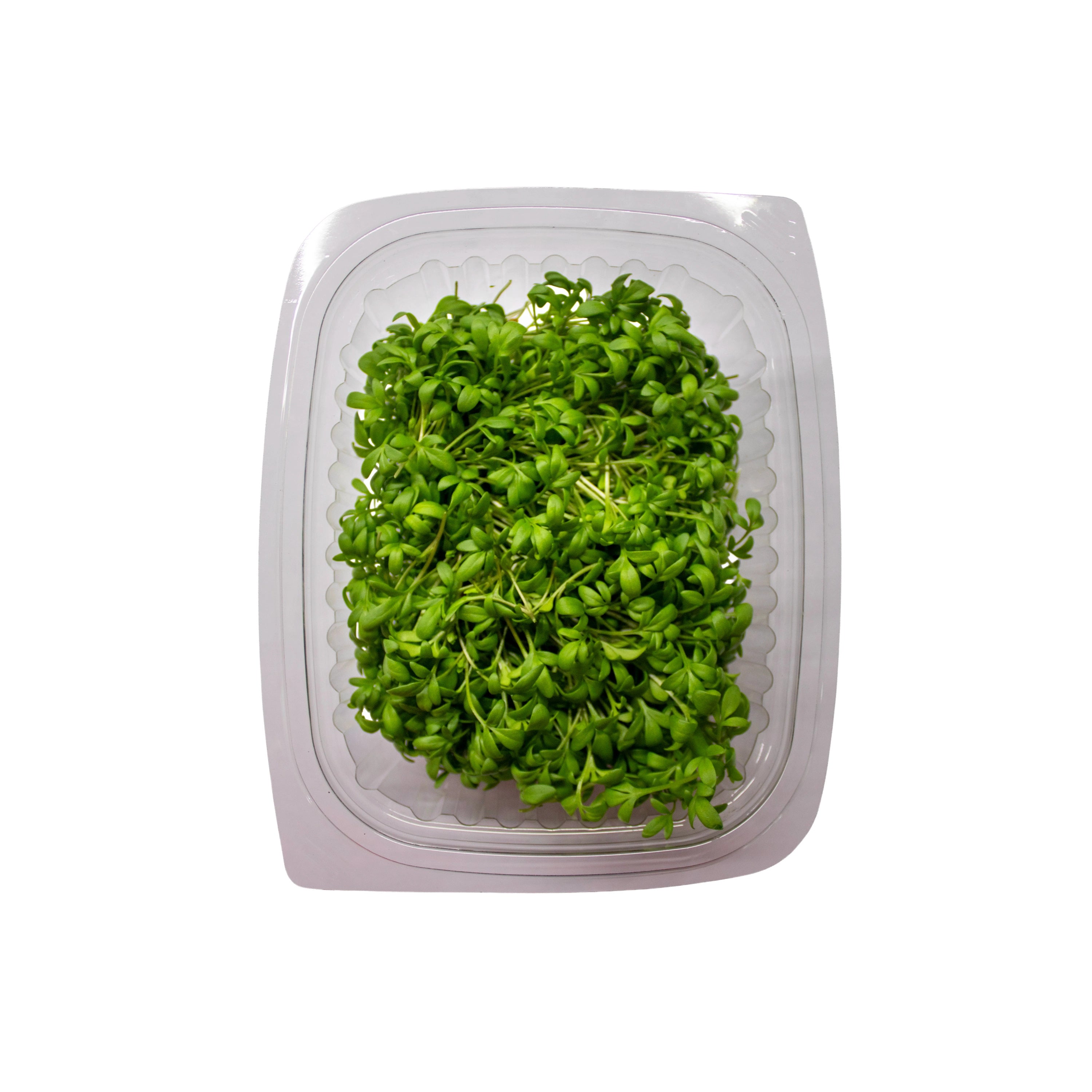 Uns Wasabi Cress 30G Clear Pet Box