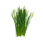 Uns Wheatgrass Microgreen Cress 16 Punnet Carton