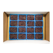 UNS Amaranth Microgreen Cress 16 Punnet Carton