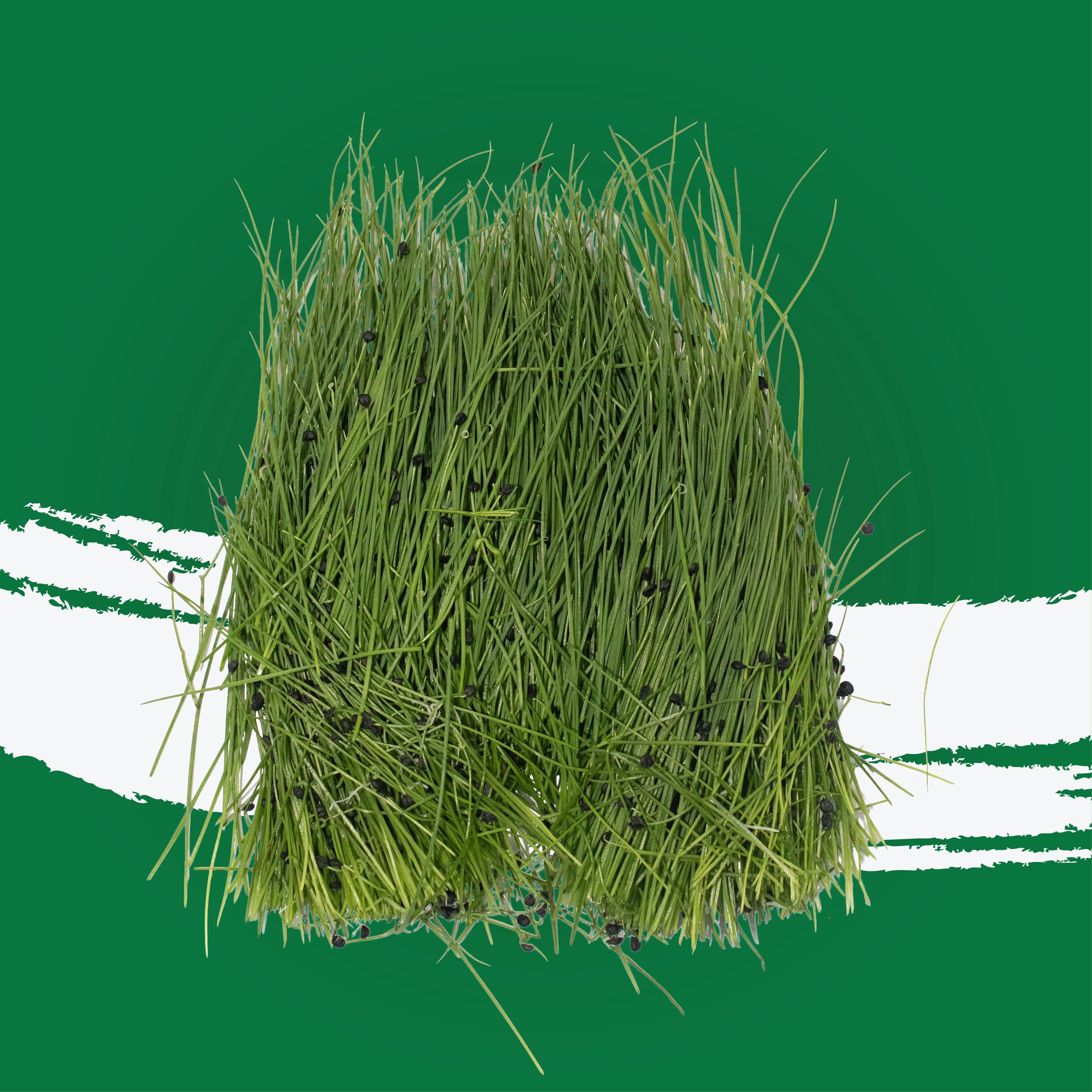 UNS Chives 50g Kraft Box