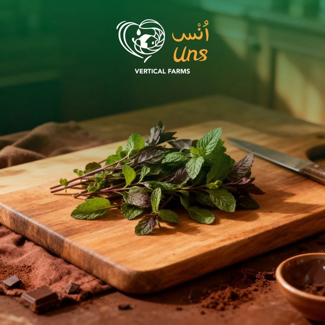 Uns Chocolate Mint 20G