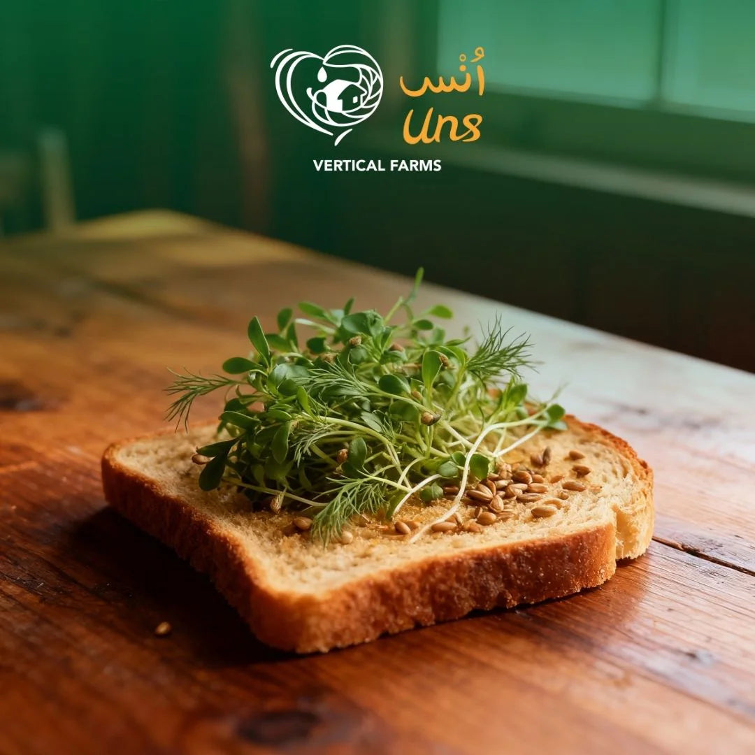 UNS Coriander Cress 15g Clear Pet Box