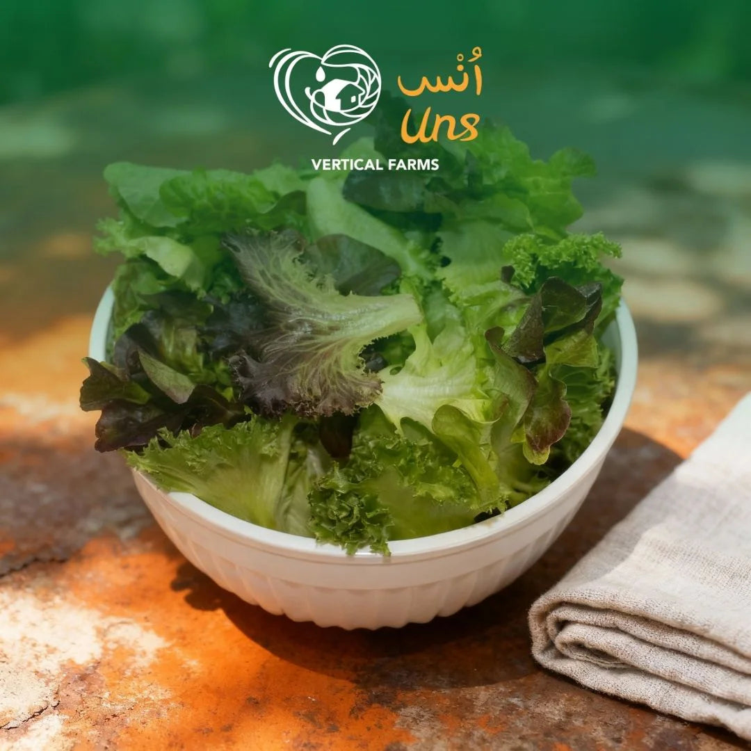 Uns Gourmet Mix 250G Pet Bag