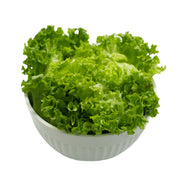 UNS Green Batavia Lettuce 250g Clear Pet Bag