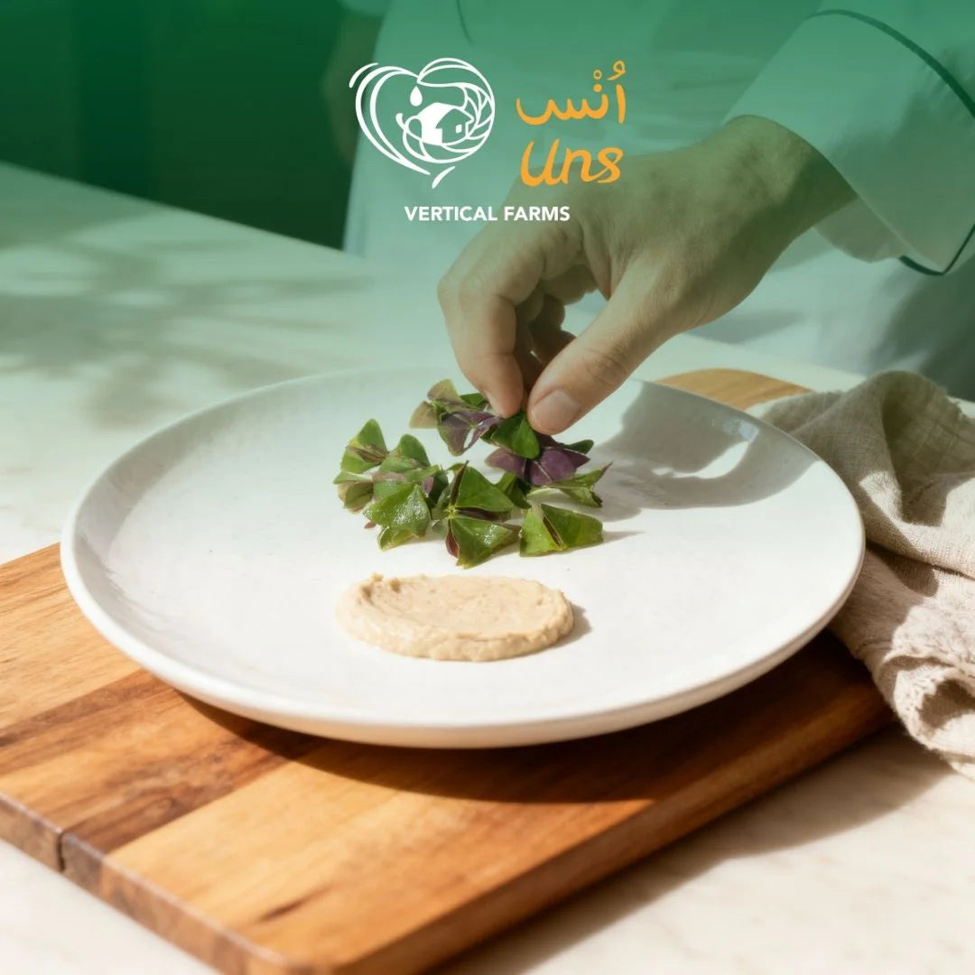 Fresh green oxalis leaves available online in UAE