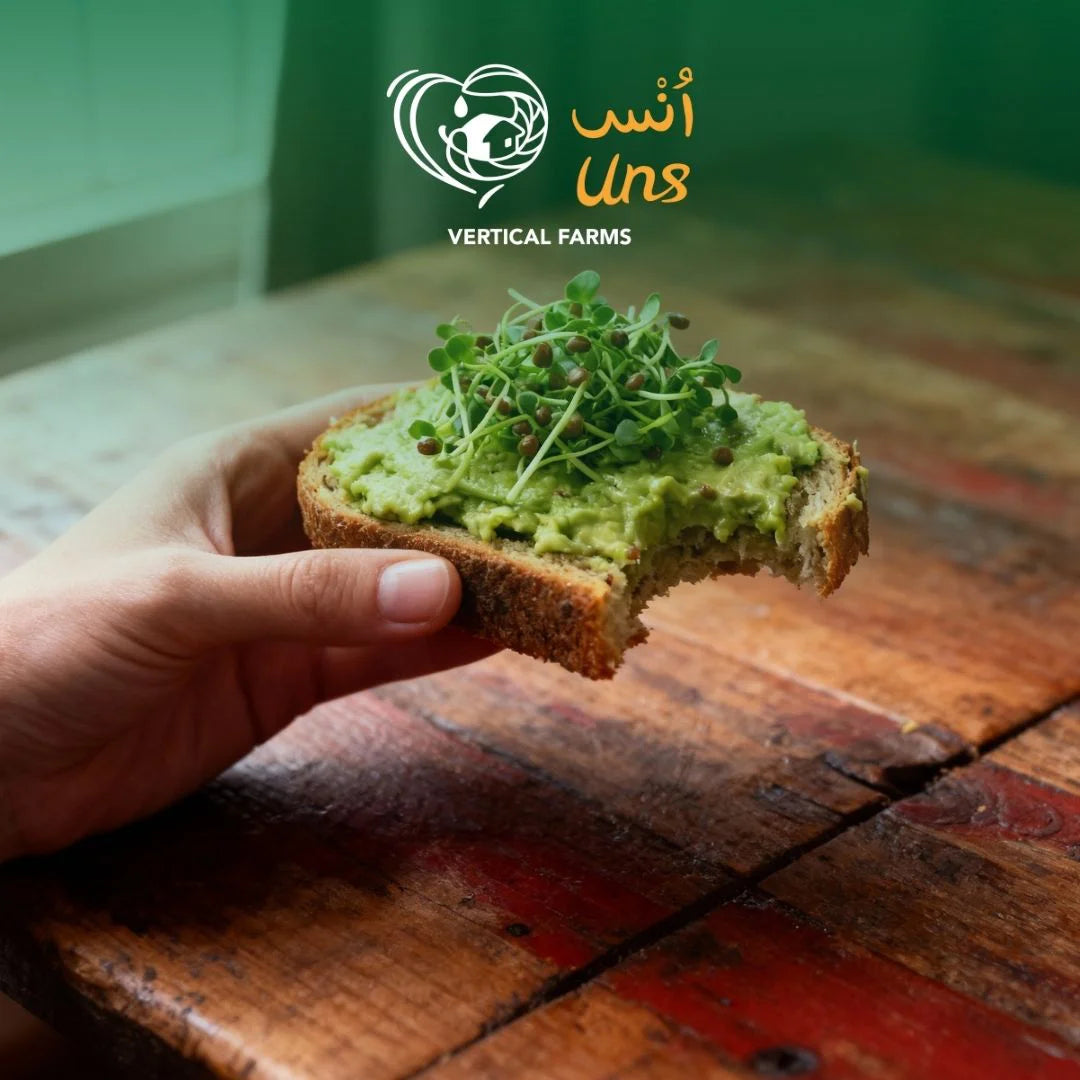 UNS Green Radish 40g Clear Pet Box