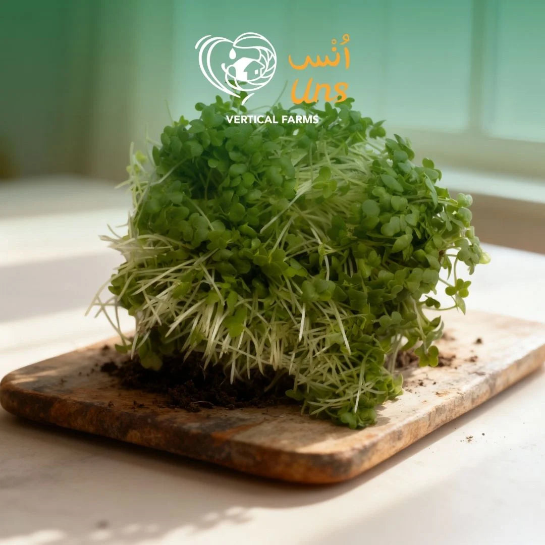 Uns Green Wasabi Mustard 20G Clear Pet Box