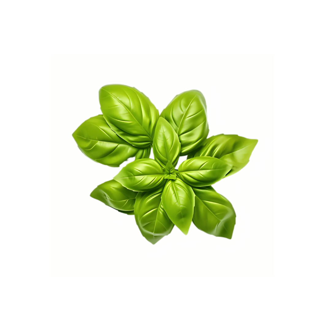 UNS Italian Basil 50g Kraft Box