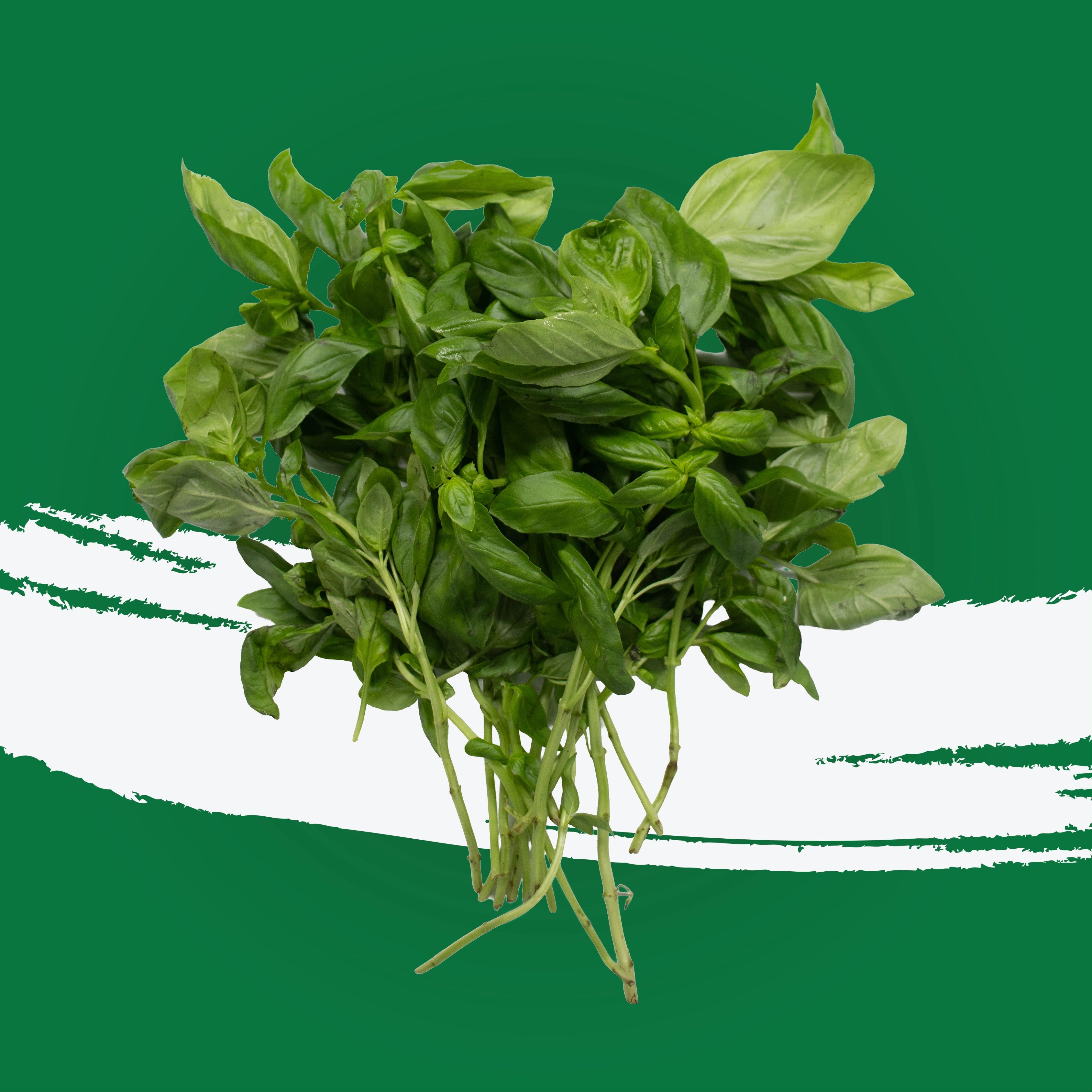 UNS Italian Basil 50g Kraft Box