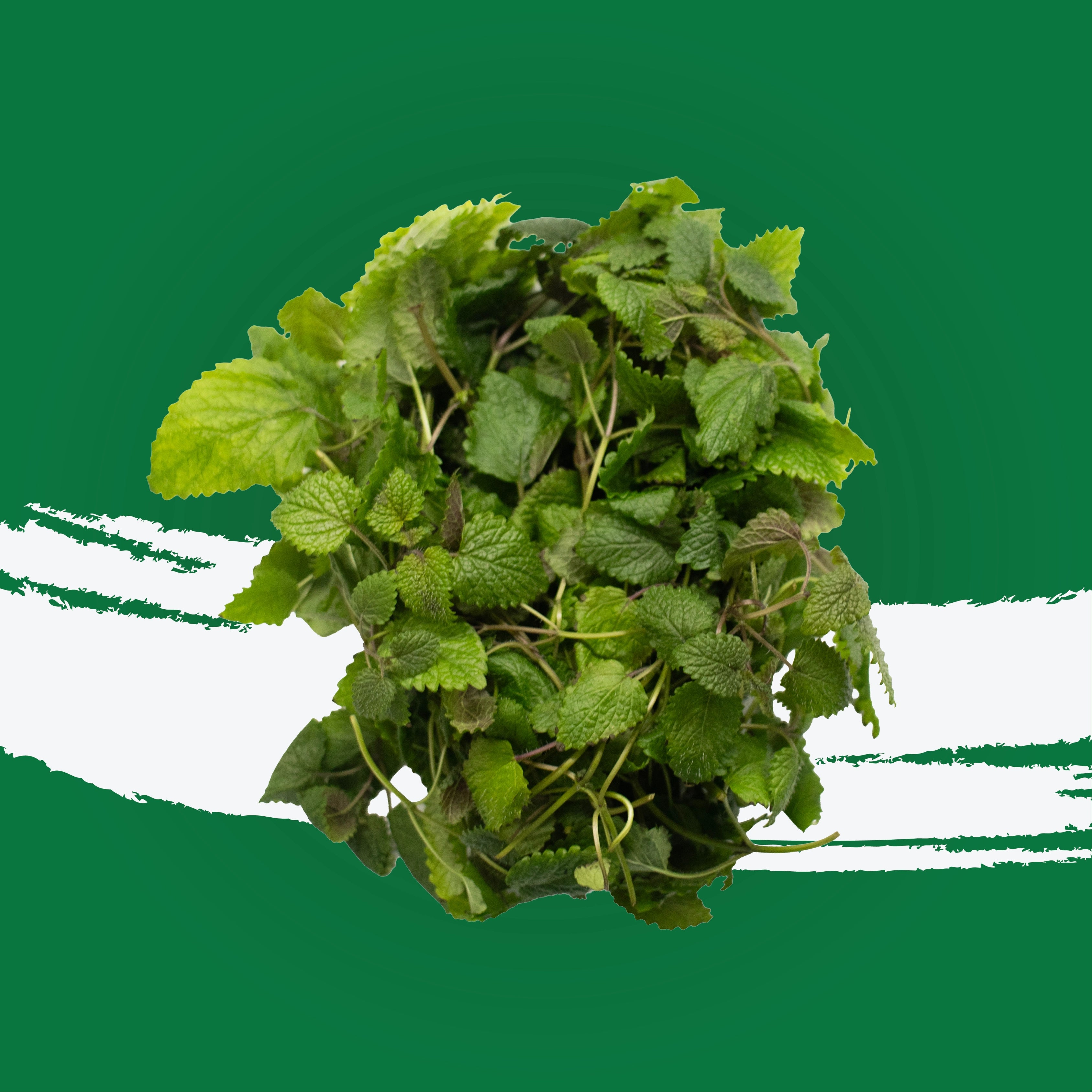 UNS Lemon Balm 50g Kraft Box