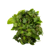 UNS Lemon Balm 50g Kraft Box