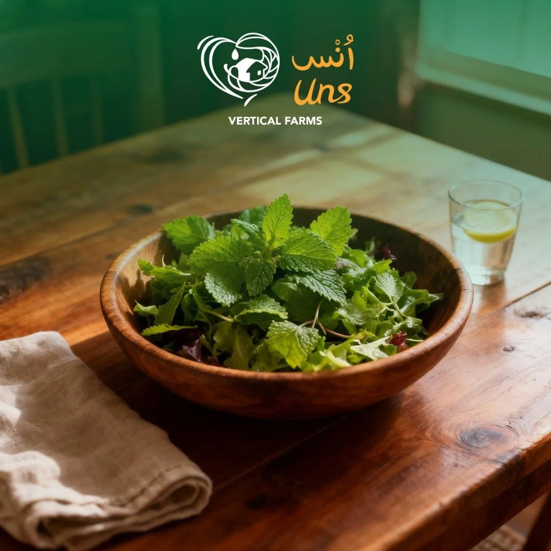 UNS Lemon Balm 50g Kraft Box