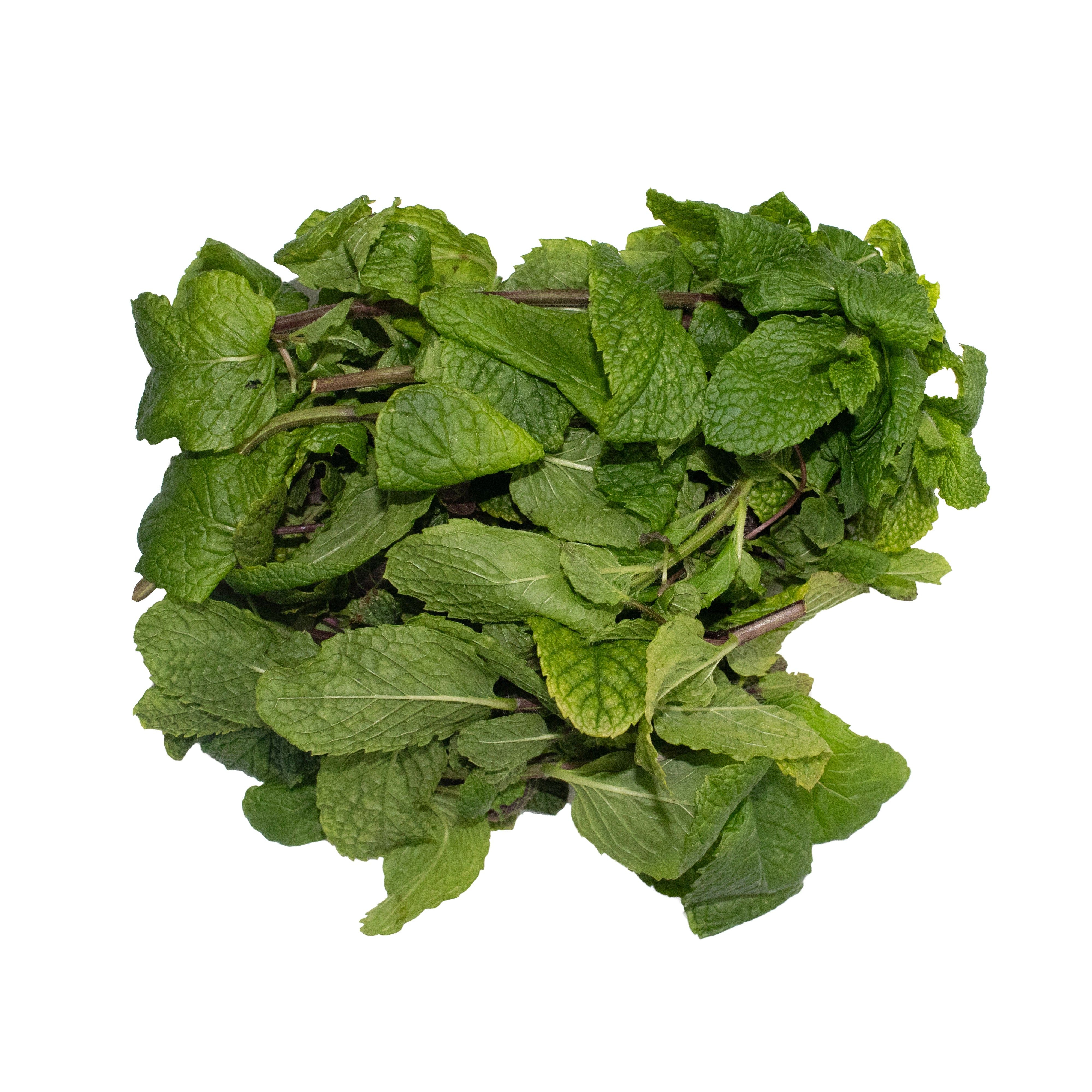 UNS Mint 50g Kraft Box