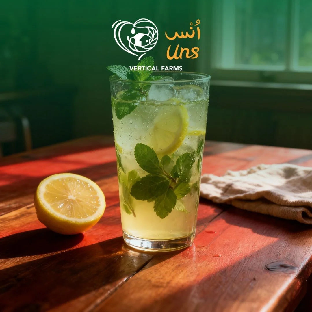 UNS Mint 50g Kraft Box