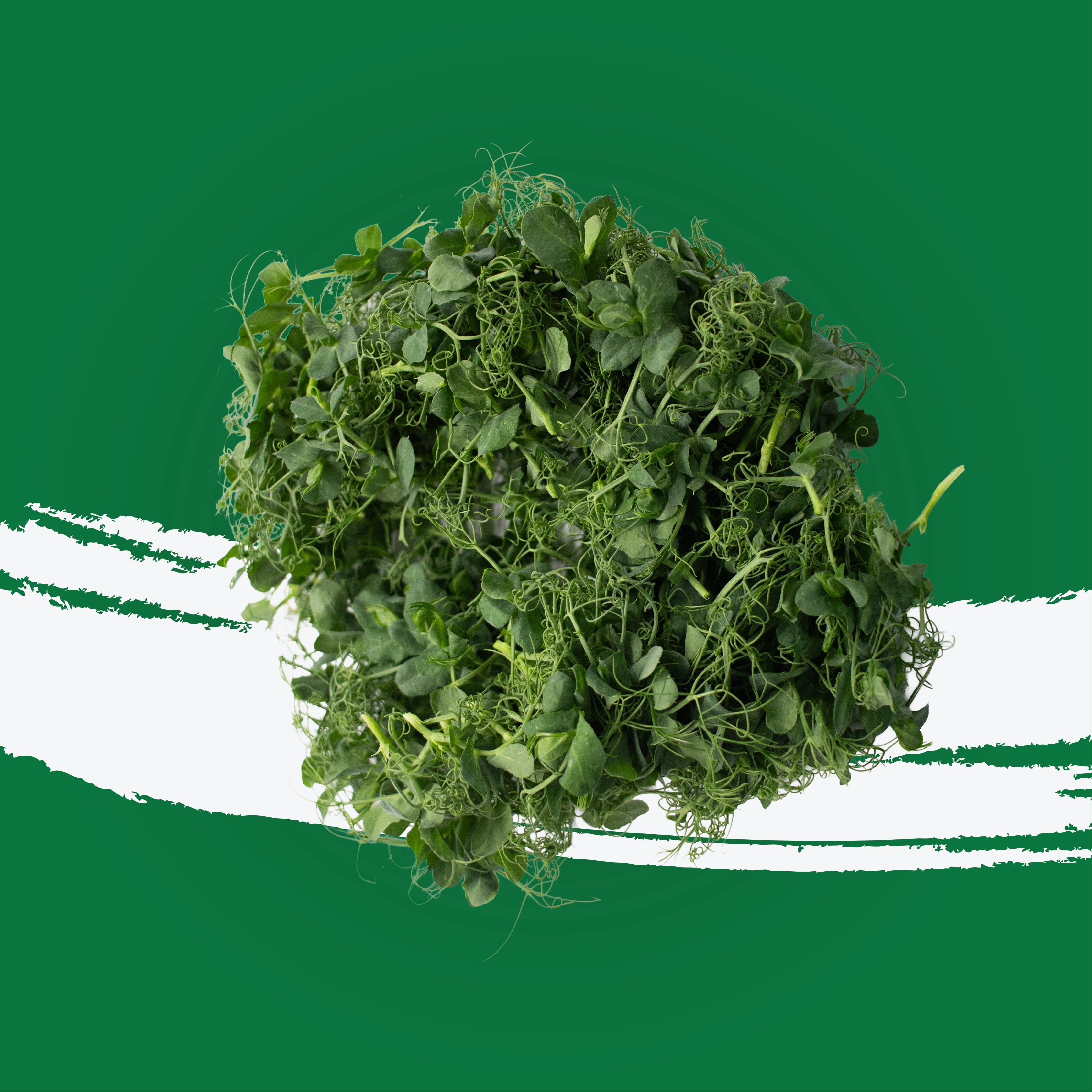 UNS Pea Tendril 40g Clear Pet Box