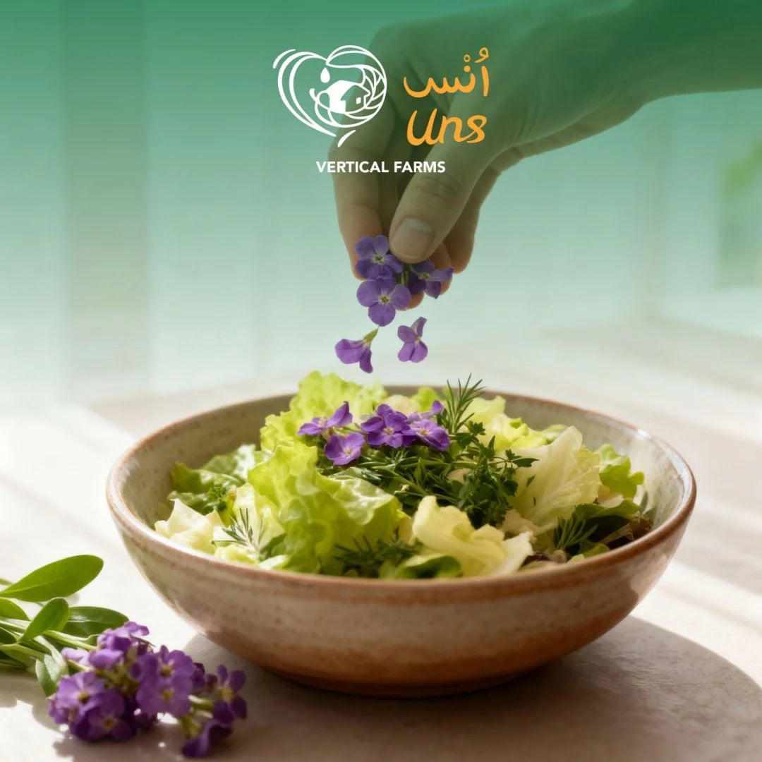 Uns Purple Alyssum 8Pcs Clear Pet Box