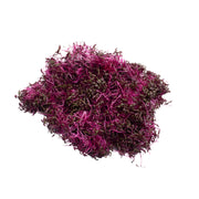 UNS Red Amaranth 15g Clear Pet Box