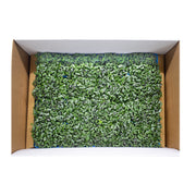 UNS Red Cabbage Microgreen Cress 16 Punnet Carton
