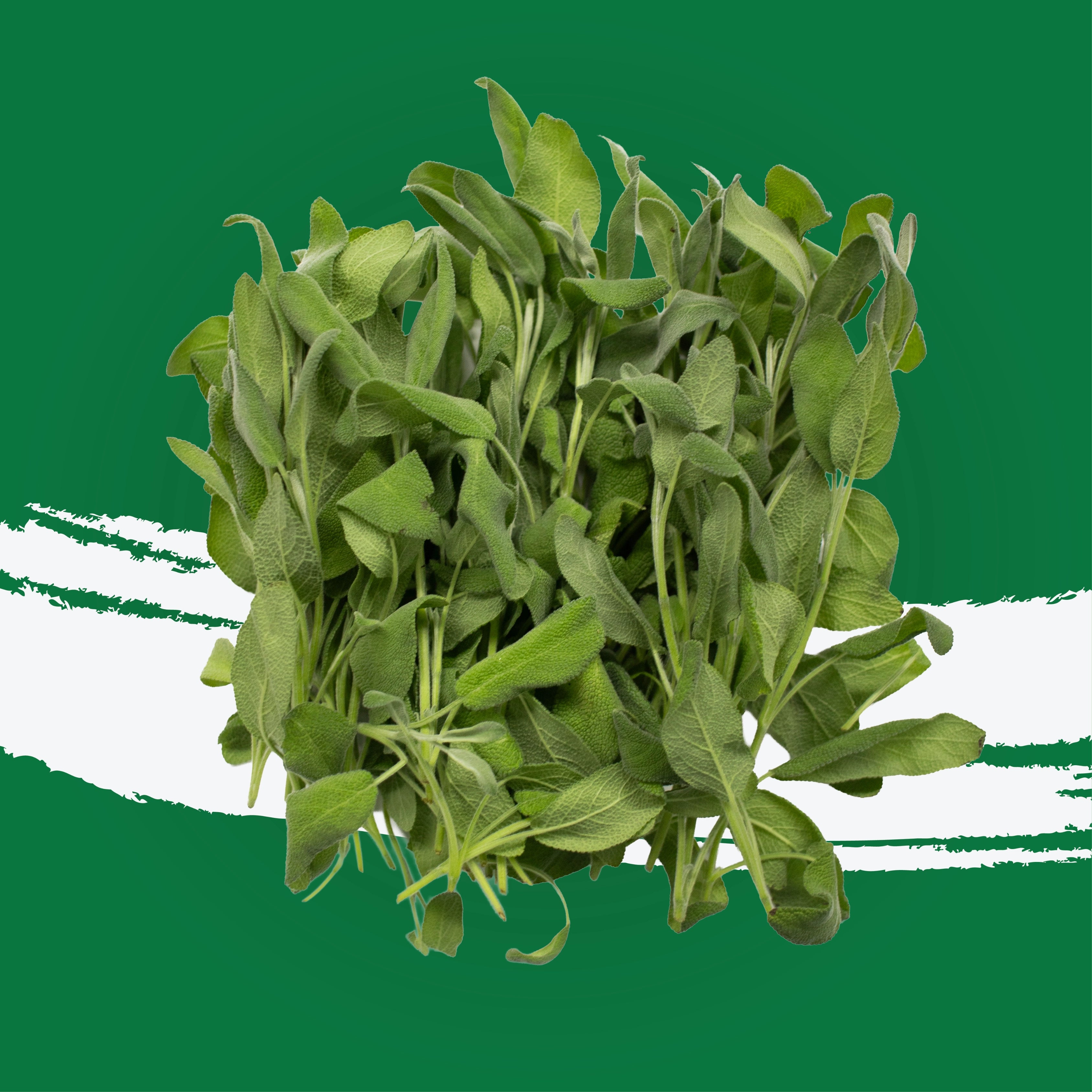 UNS Sage 50g Kraft Box